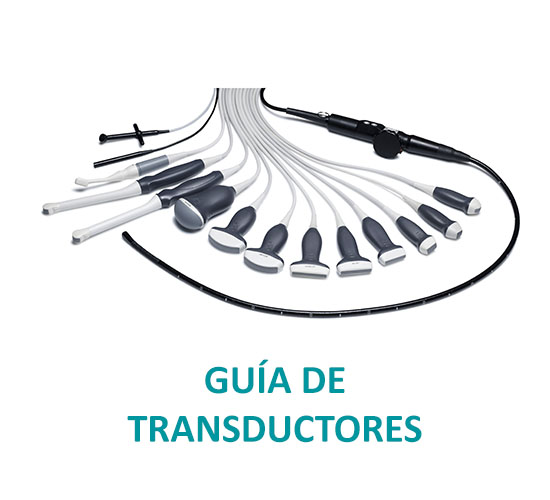 GuiaTransductores
