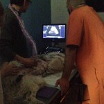 Practica curso NEXO - MEDICALSCAN